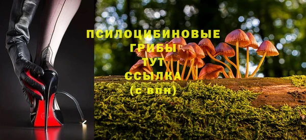 МДМА Карпинск