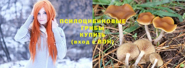 МДМА Карпинск